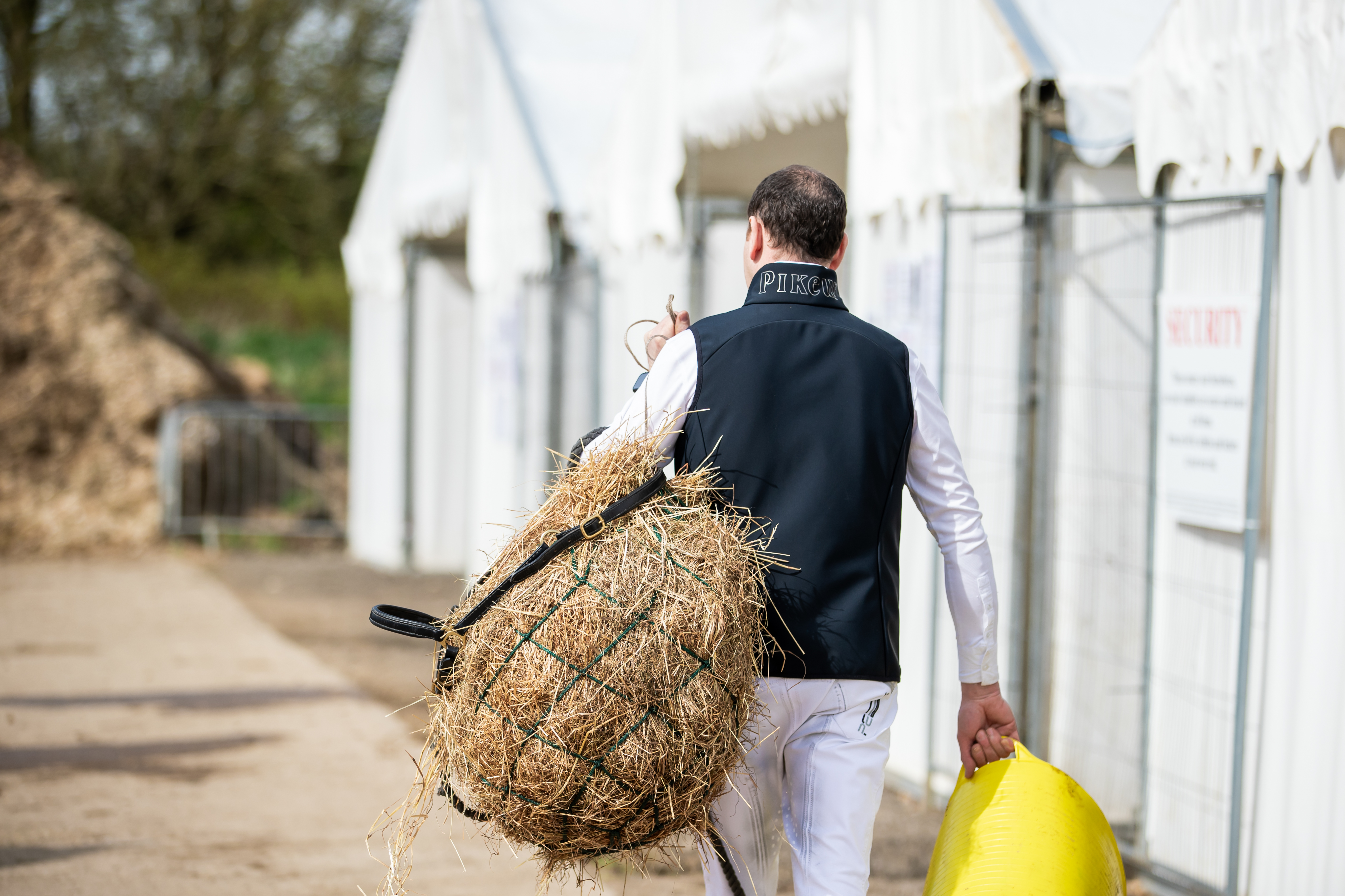 British Dressage Equine Senior Groom Apprenticeship Standard