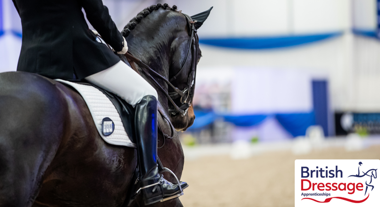 British Dressage Equine Groom - Apprenticeship Standard